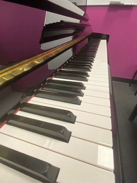 Bach to Rock Cypress